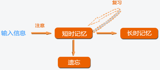 人类艾宾浩斯遗忘曲线-记忆曲线规律图-背单词方法学习-复习时间计划